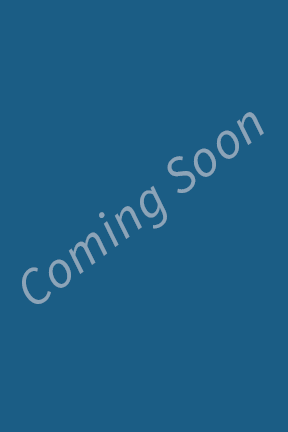 Bible Diaries 2027 - Reserve Now